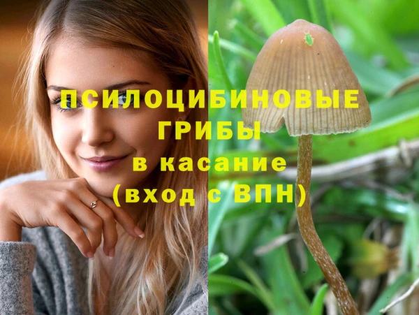 спайс Богданович