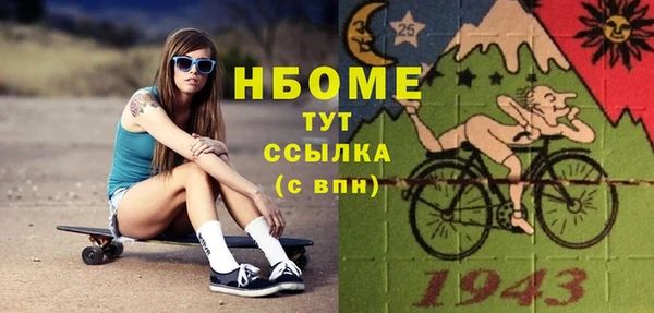 молекула духа Богородицк