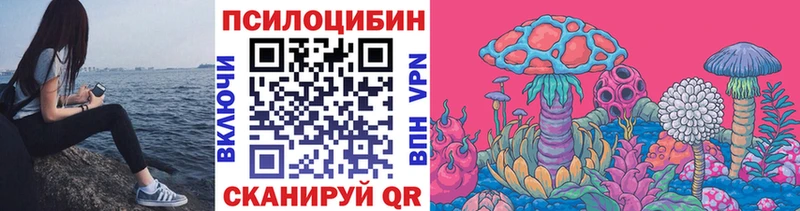 Галлюциногенные грибы Psilocybine cubensis  где найти наркотики  Верхний Тагил 