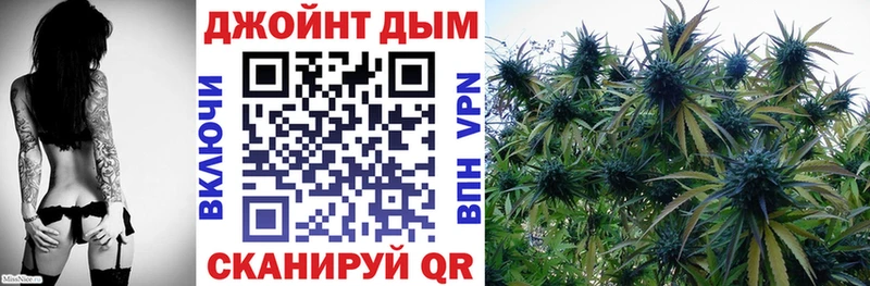 OMG tor  Верхний Тагил  Бошки Шишки сатива 